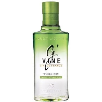 ג'יווין גין